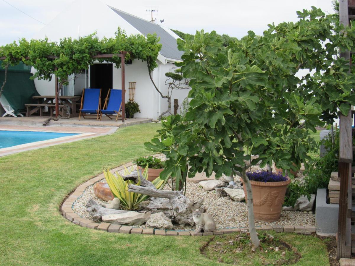 Omega Suite Gansbaai Esterno foto